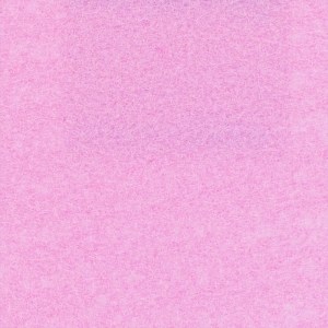 Expostyle-1722-Candy Pink-Pantone223C